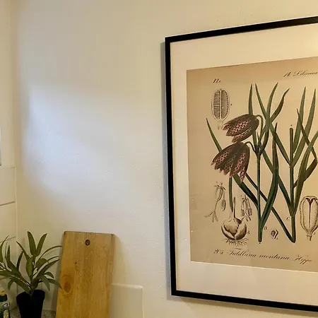 Apartment Locherer